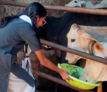 Screenshot 2025-12-16 150824 story-telling